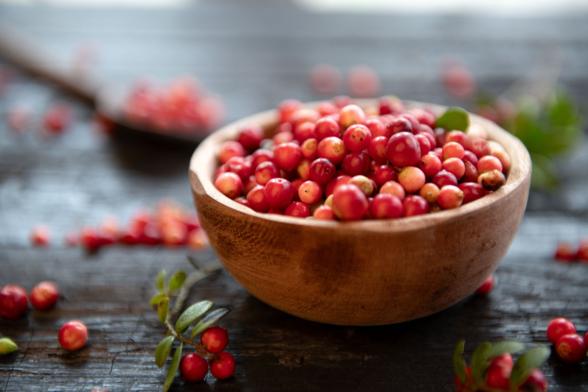 一种红色的果子,蔓越莓