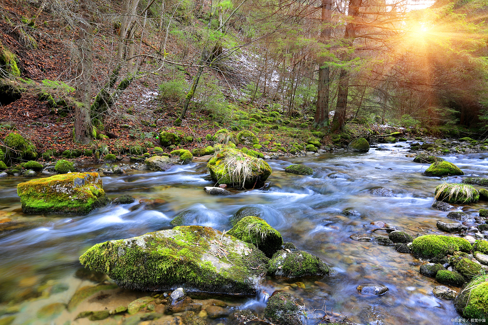 小兴安岭森林小溪,清澈流水,自然音乐!