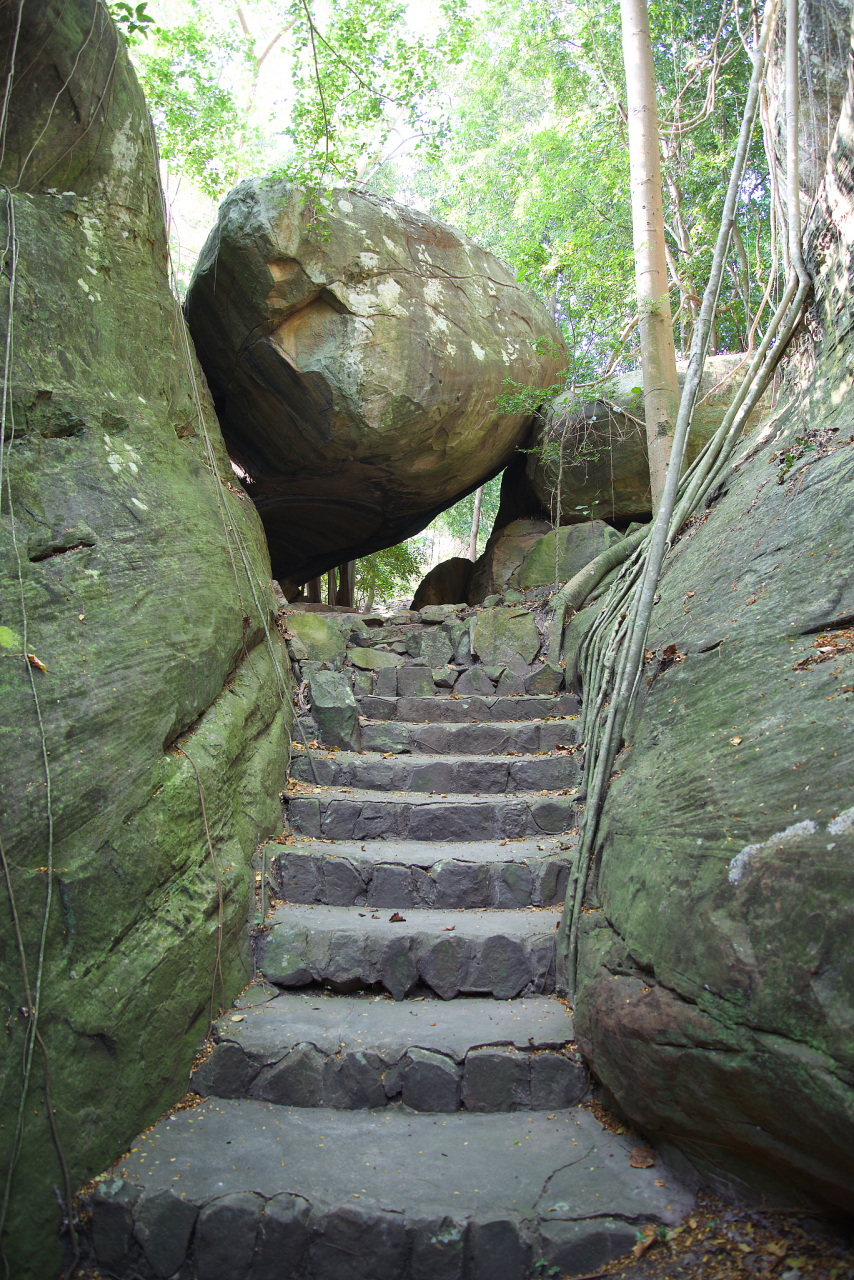 打卡大美江西# #城市大玩家# @百家本地君  仙人洞位于江西省九江市