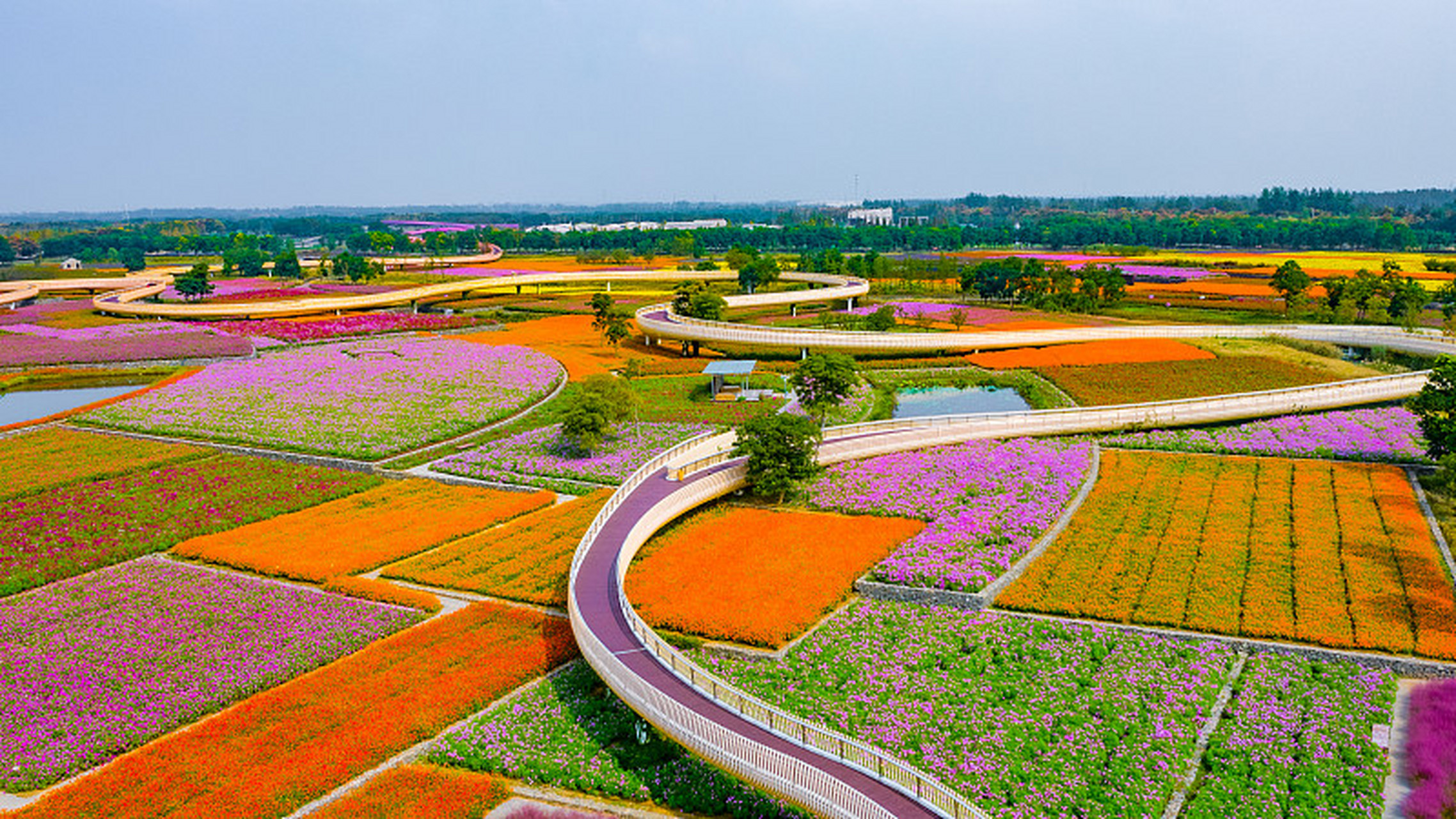 江苏旅游胜地之一,宿迁三台山森林公园,以其秀美景色吸引游客.这片天