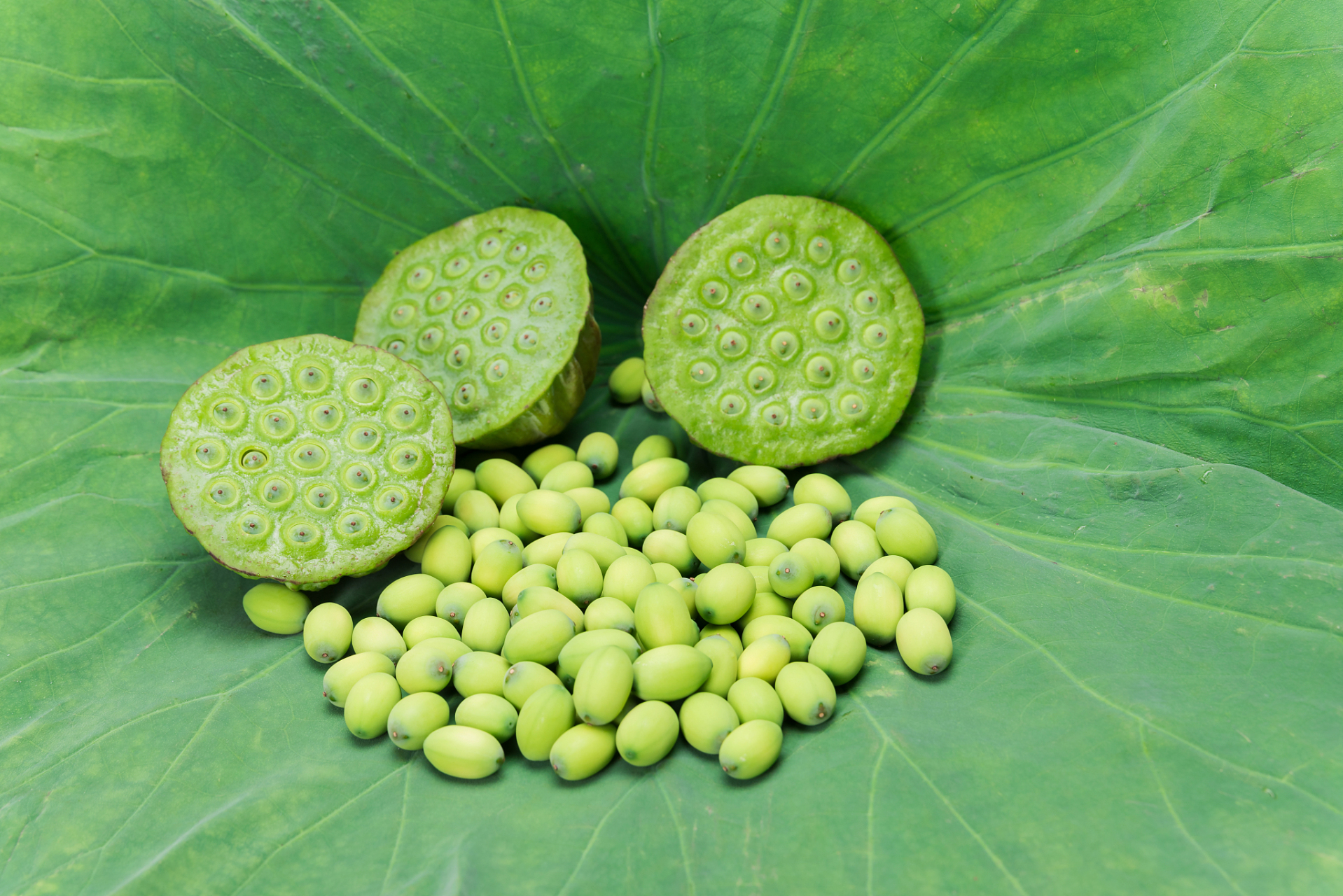 通过不同的烹饪方法,莼菜可以为餐桌增添美味和清爽.