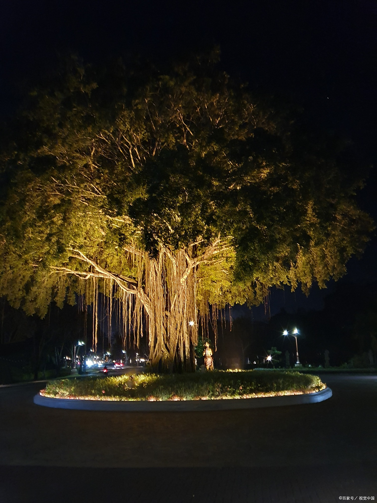 我心想这不就是给树打光的玩意儿吗?结果安装当晚直接