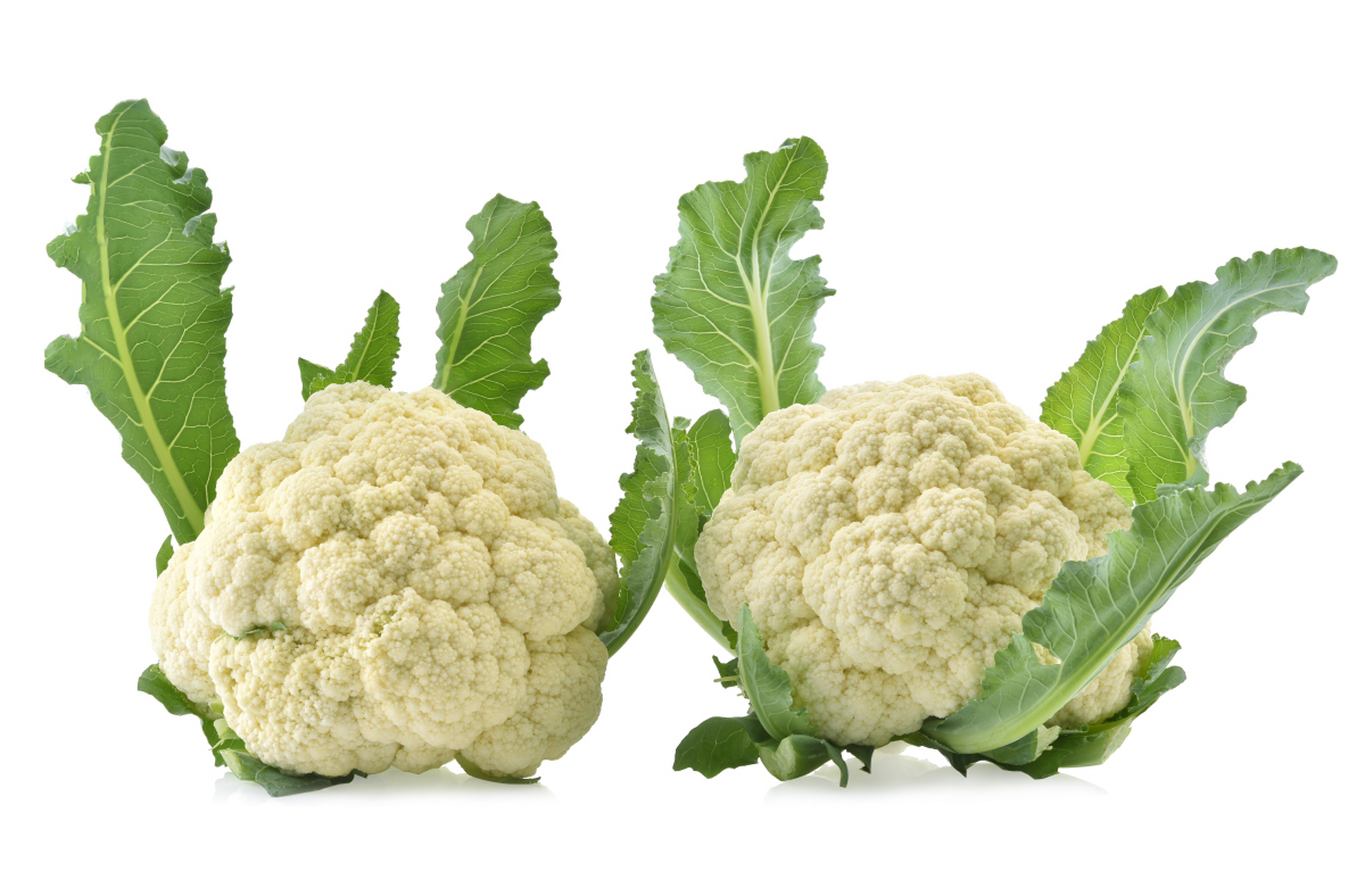 ai共创计划# #生活百科# #健康养生# #蔬菜#    答:花菜是一种营养