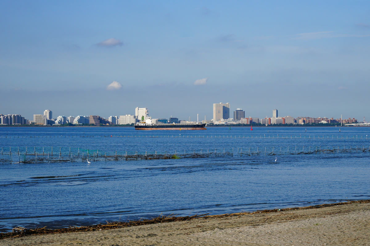 海滩风景说说图片