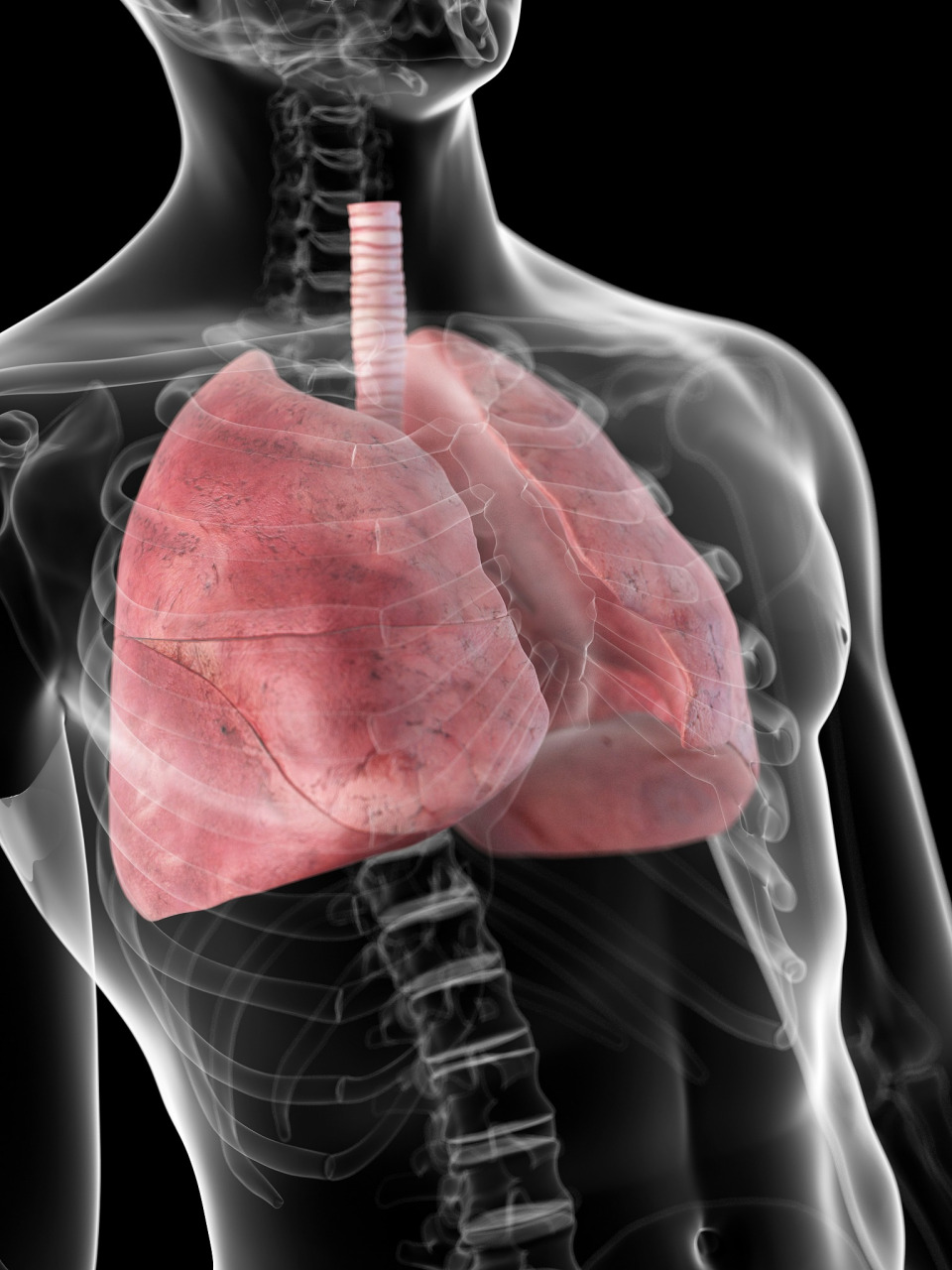 肺气肿和气胸,很多人会把这两种病混为一谈,今天就来说一说它们的区别