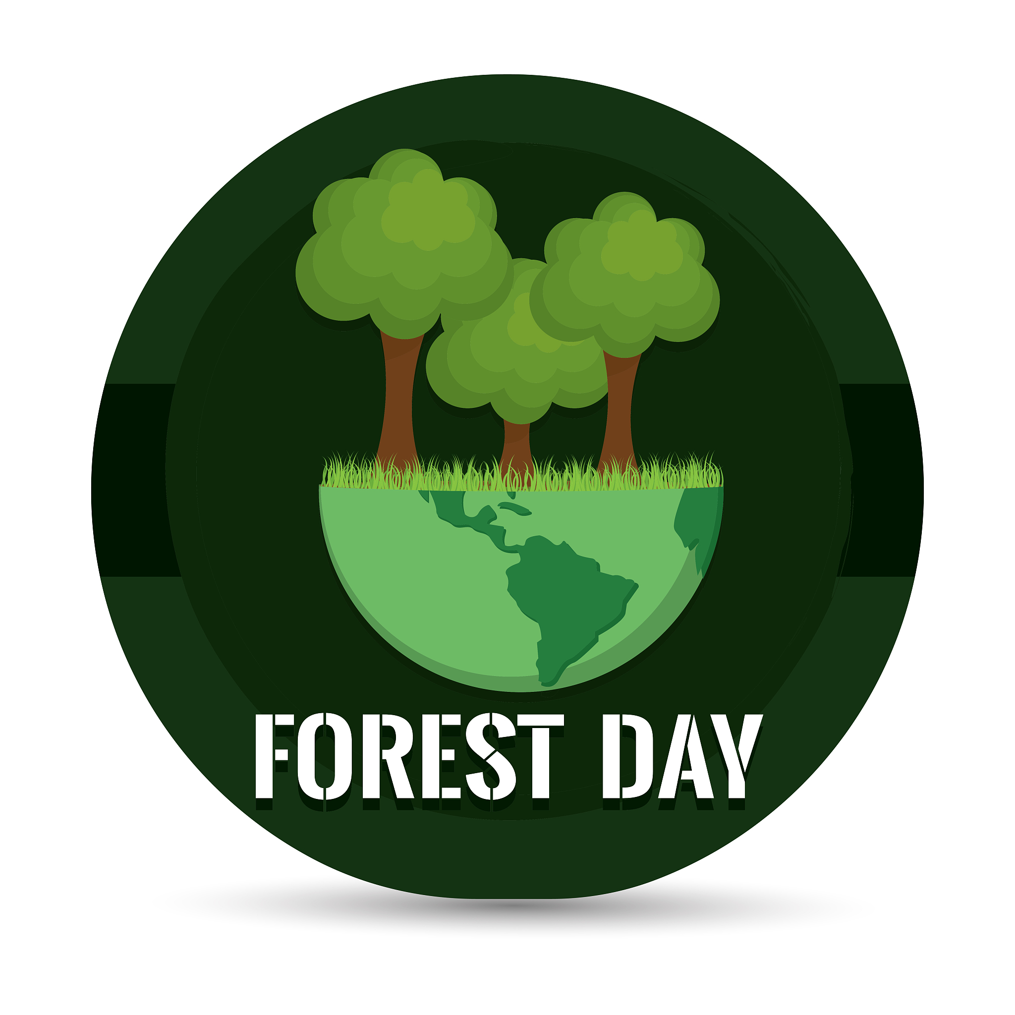 全国集体林森林面积超21亿亩,这是绿水青山间的壮举,也是自然赋予的