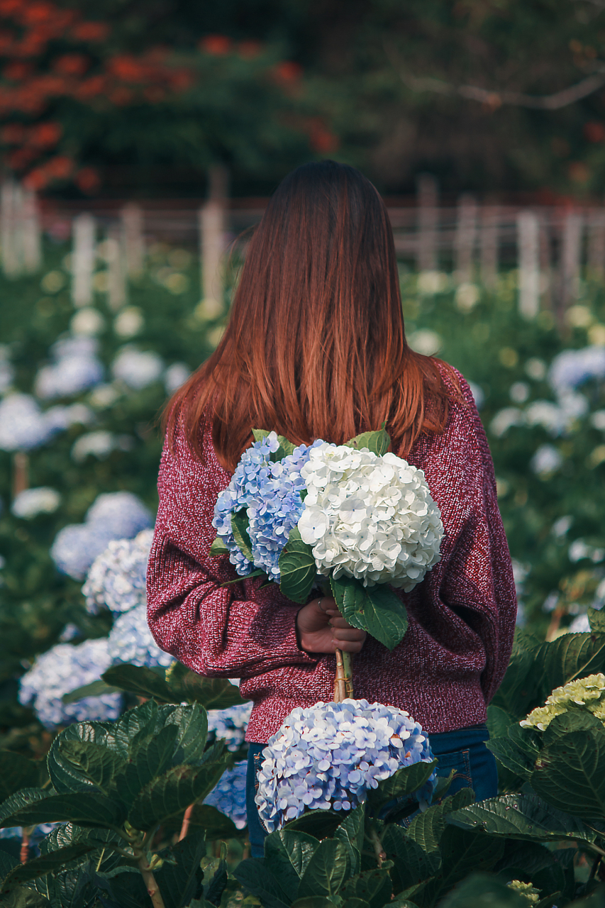 《茶花女》这本书让我们体会到了一个风尘女子的爱情故事,一个不幸