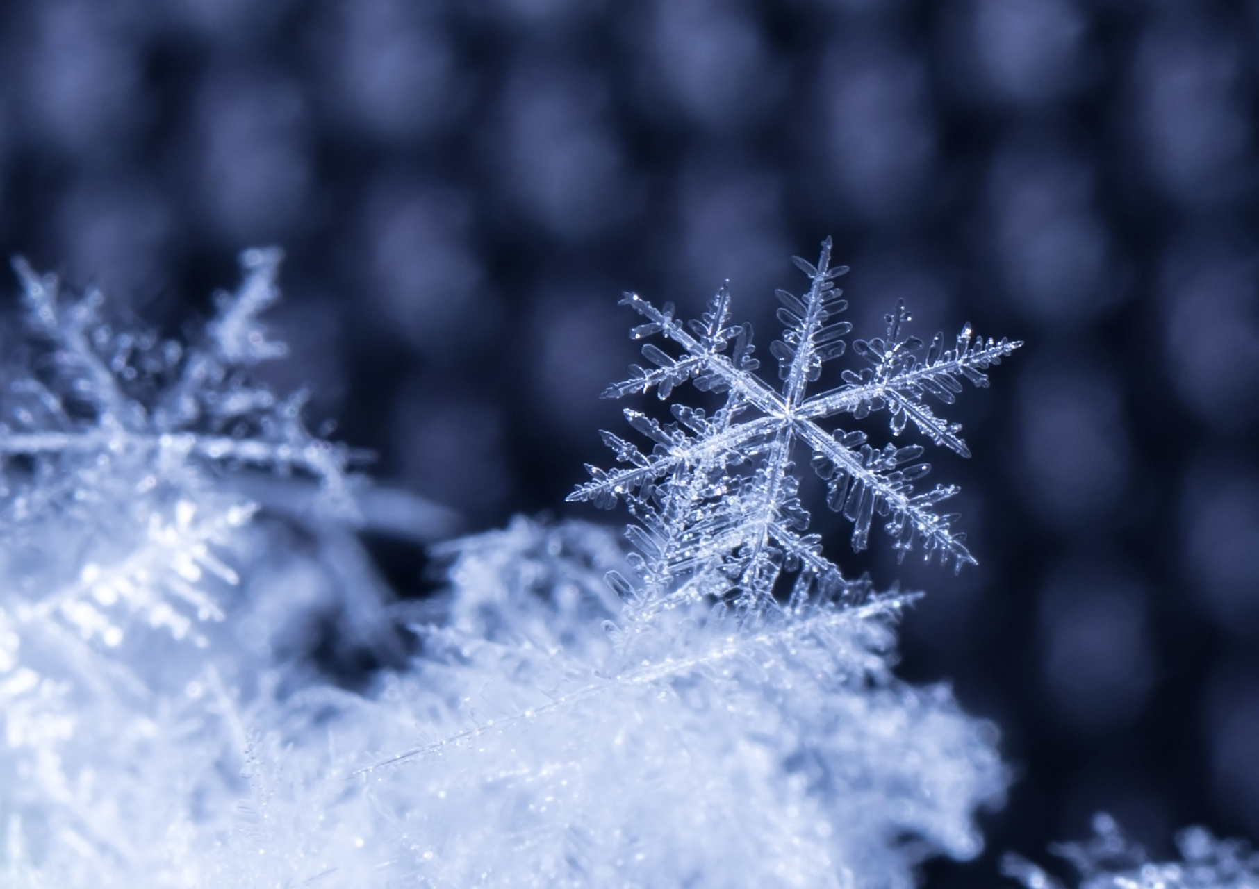 保持着纯粹和清澈 (2023年12月12日)           冬日的每一片雪花都是