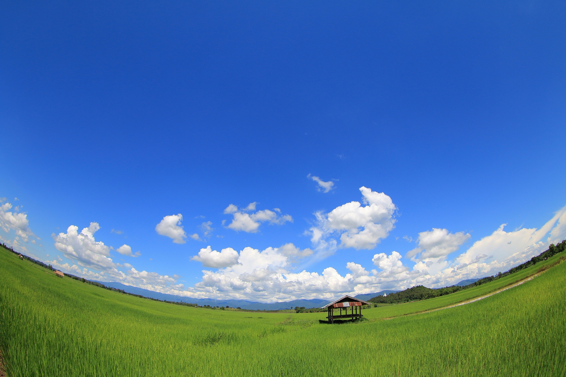 空中草原,国家aaa级旅游景区,位于河北省蔚县,沫源县,山西灵丘县交界