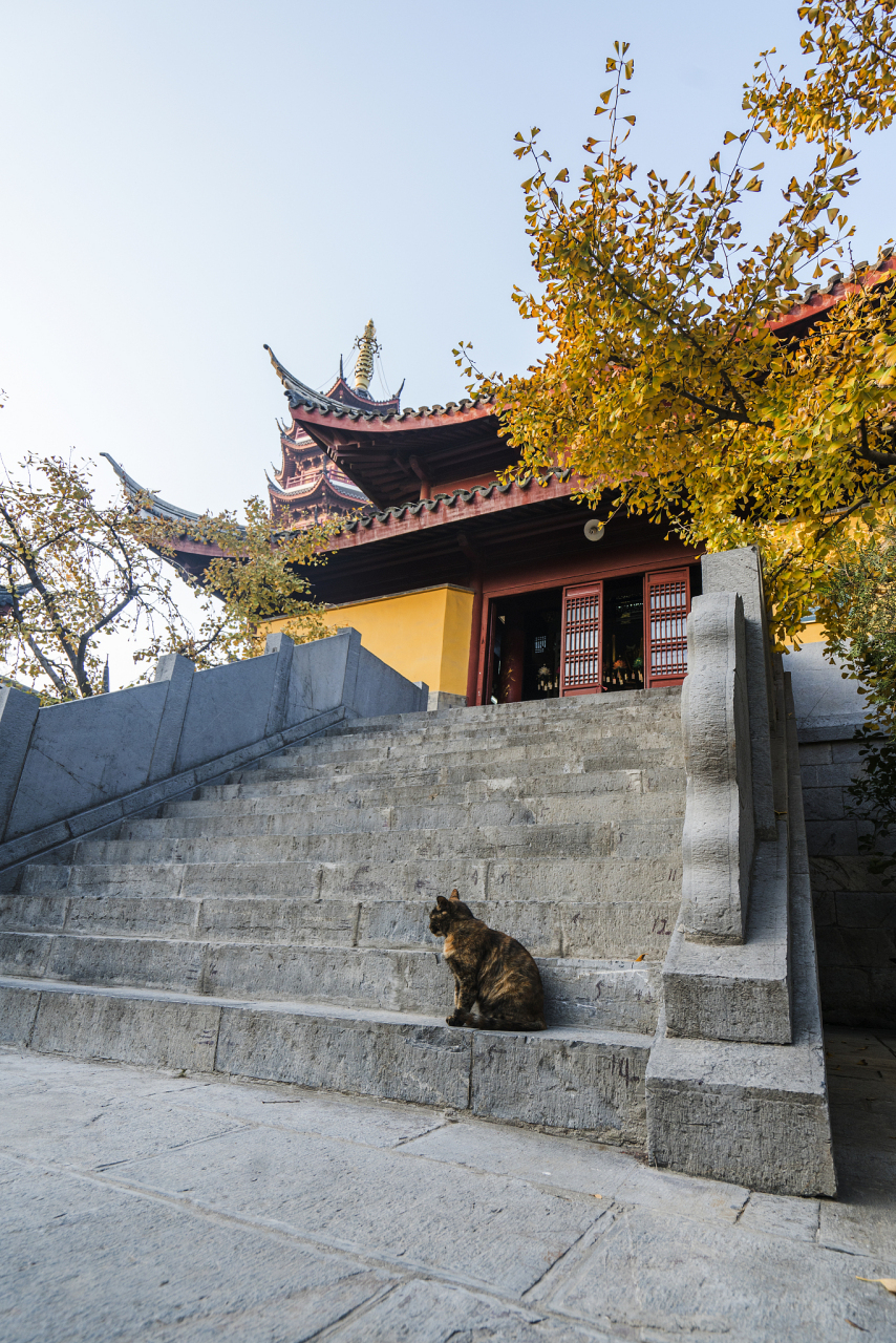 位于四川峨眉山山麓的伏虎寺,拥有悠久的历史,又被称为伏虎禅院,神龙