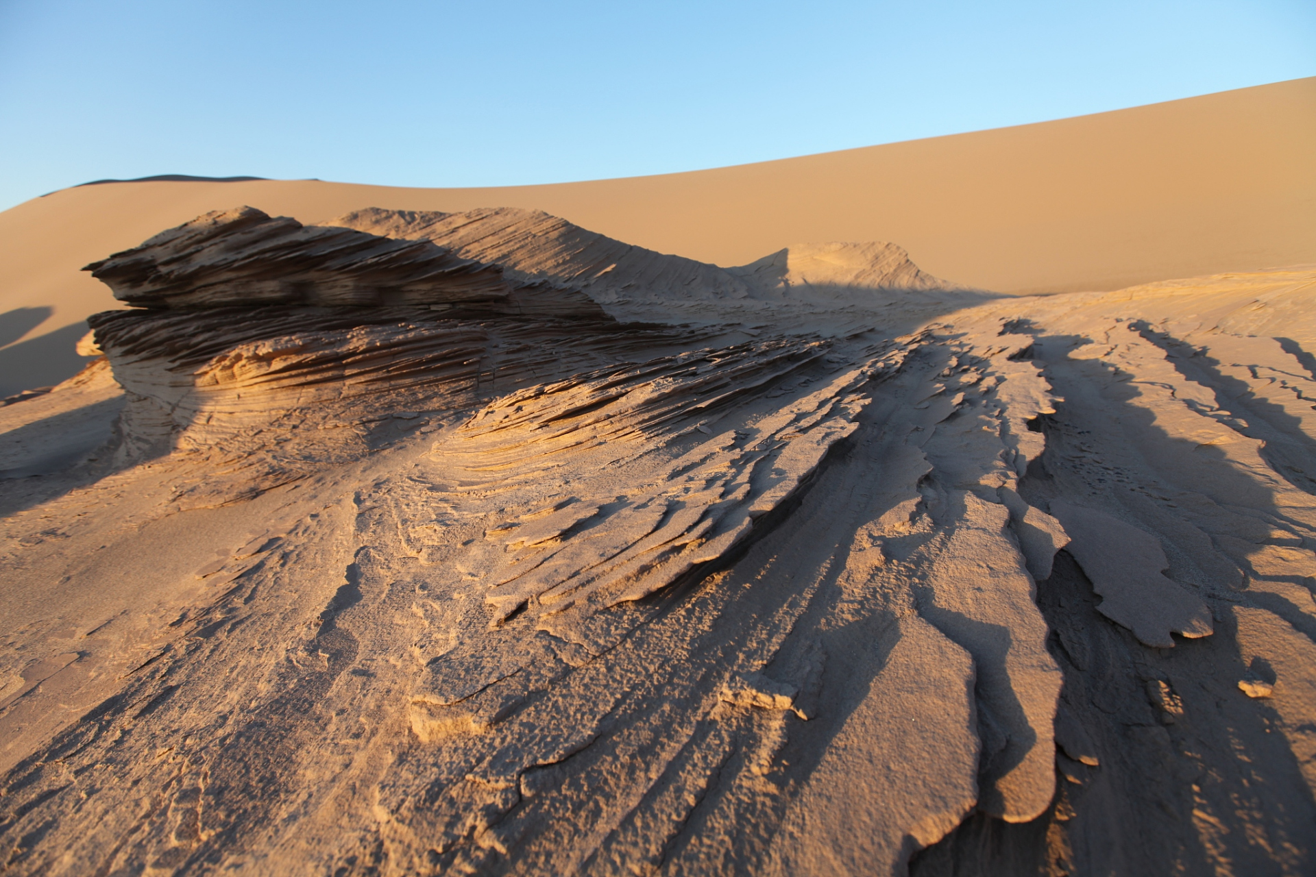 戈壁和沙漠虽都位于干旱区,但差别明显.