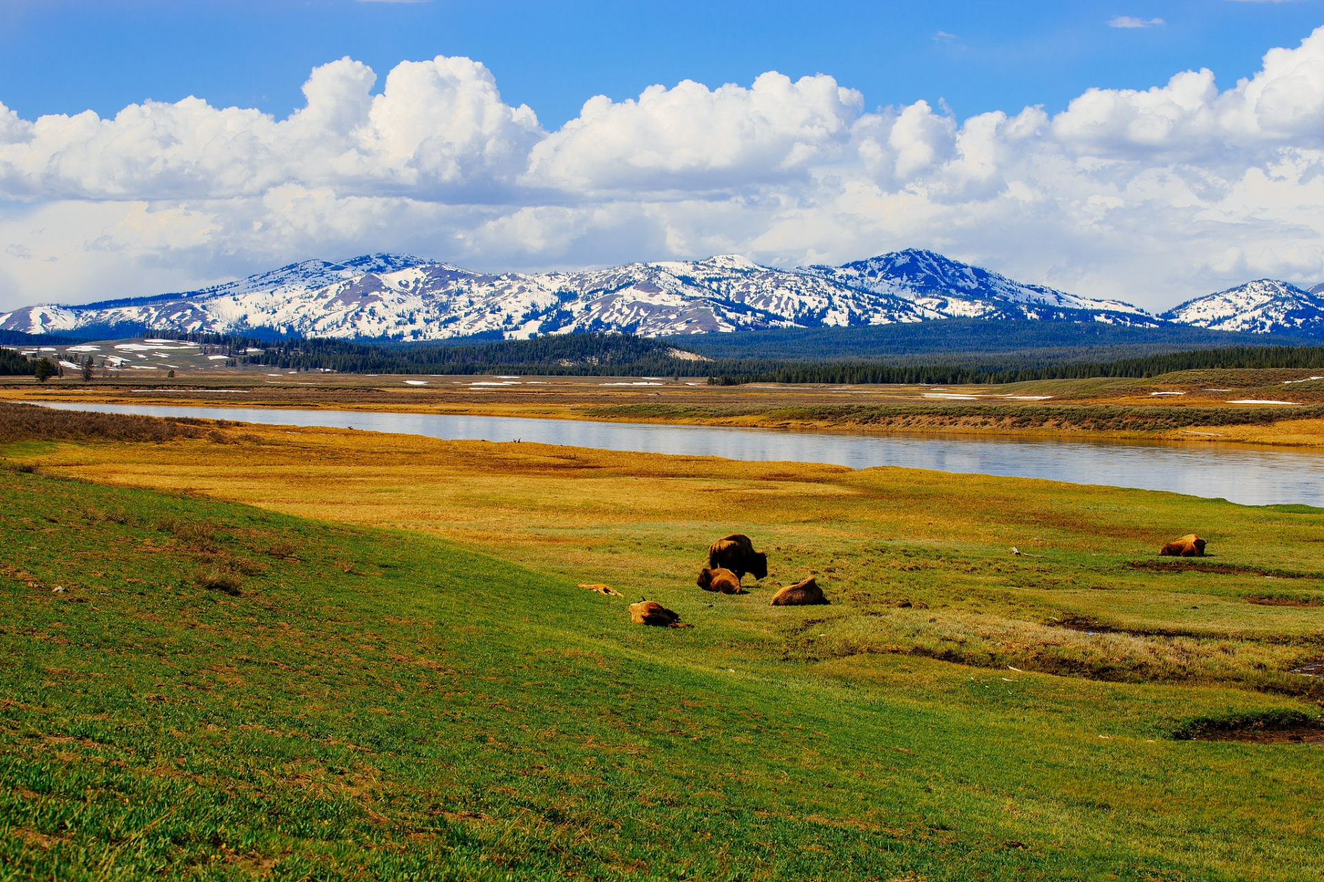 奇遇那拉提#天鹰台位于新疆伊犁哈萨克自治州那拉提县,是一个海拔