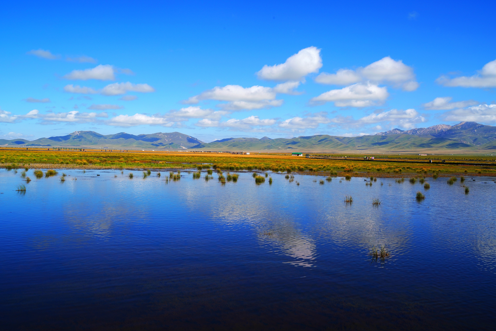 花湖位于若尔盖和甘肃郎木寺之间的213国道旁.