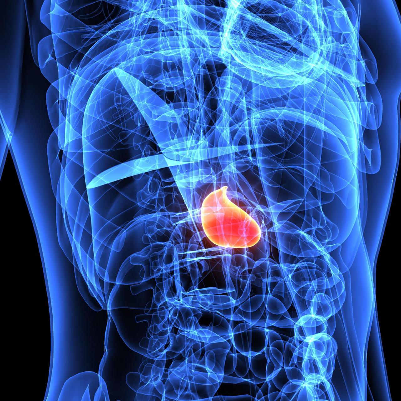 你知道胆囊对人体有多么重要吗?