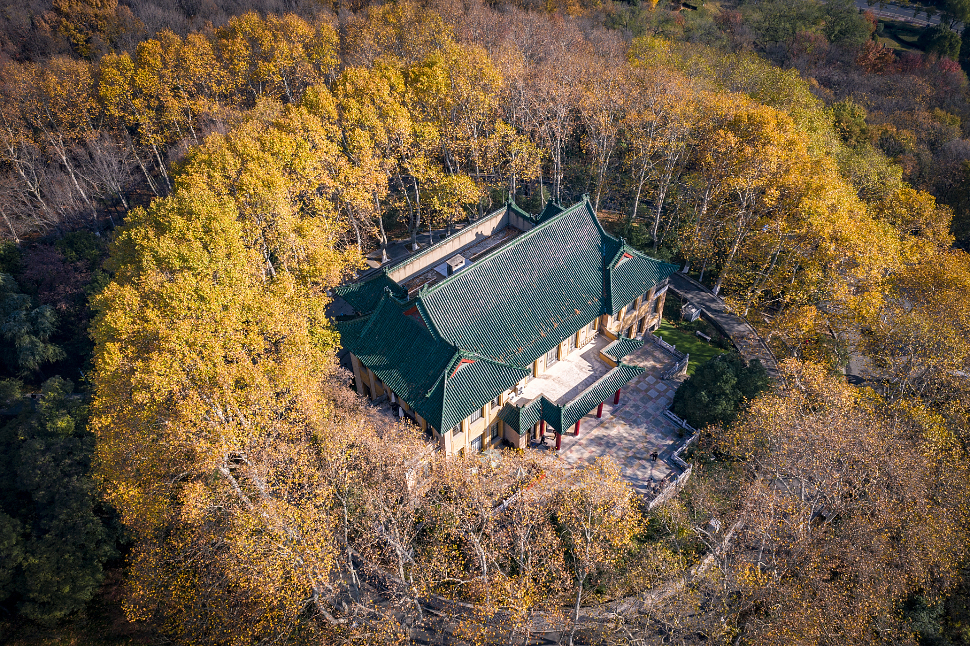 山上的定林寺,是一座千年古刹,寺内的银杏树,树龄达三千余年,至今仍枝
