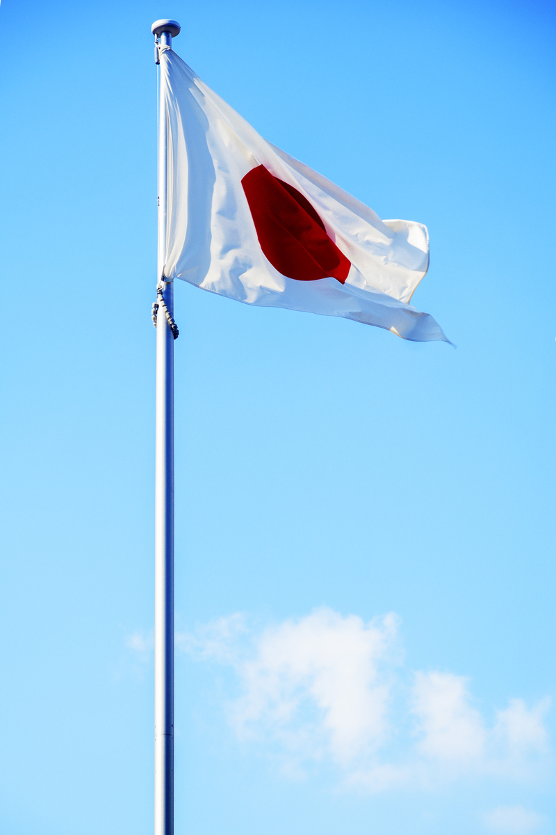 而中国和印度就像马和狮子,有强硬的骨骼