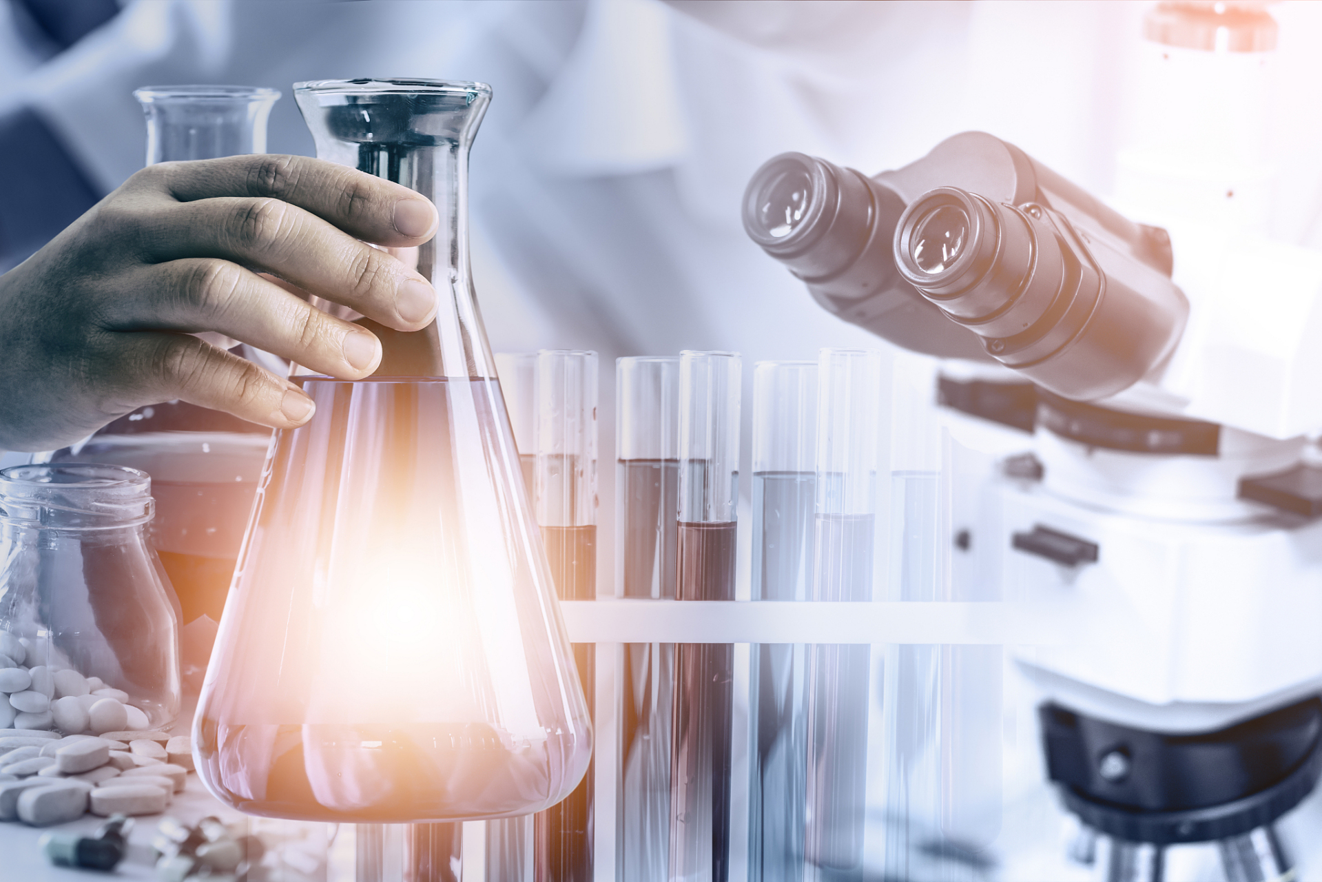 生物工程领域的研究方向: 环境污染治理:利用微生物和植物的生物工程