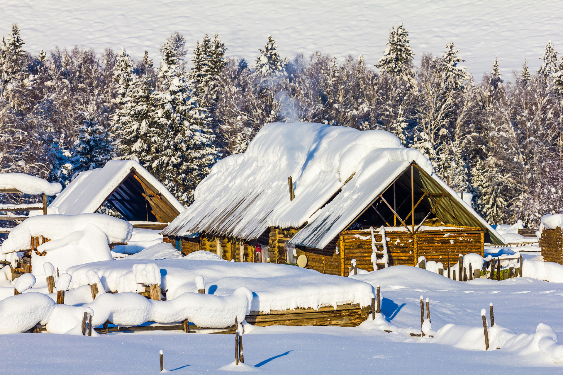 为了降低旅游成本,可以选择自助游,跟团游,住宿选择