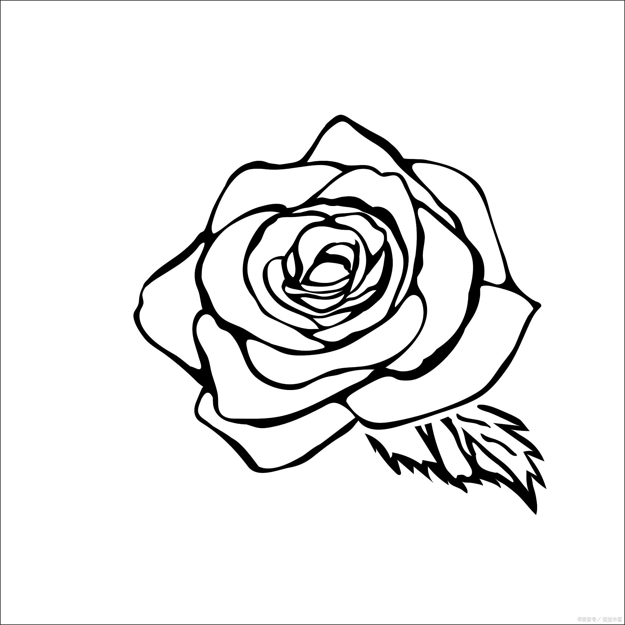 玫瑰花简笔画步骤教程