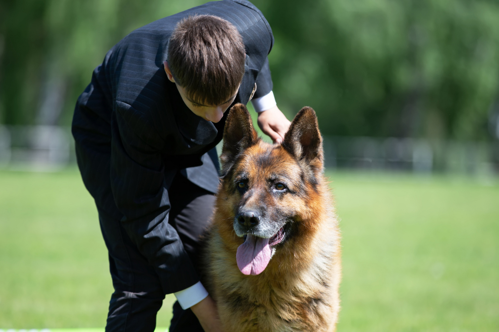 警犬品种牧羊犬图片