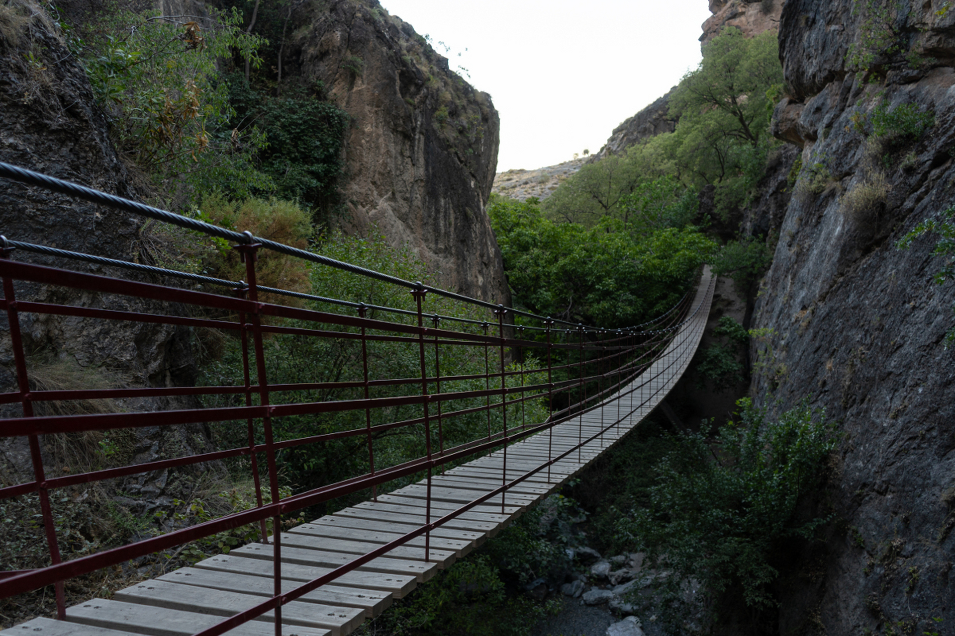 梨木台自然风景区中五角枫,白蜡,栾树,国槐等树种的叶子逐渐变色