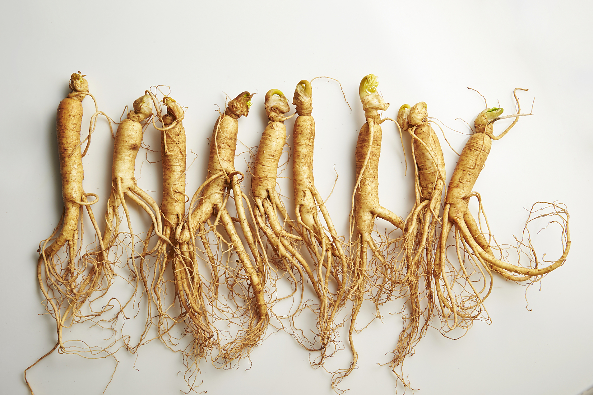 今天,就让我们一同来了解 7 种常见参的独特之处和它们各自的用法.