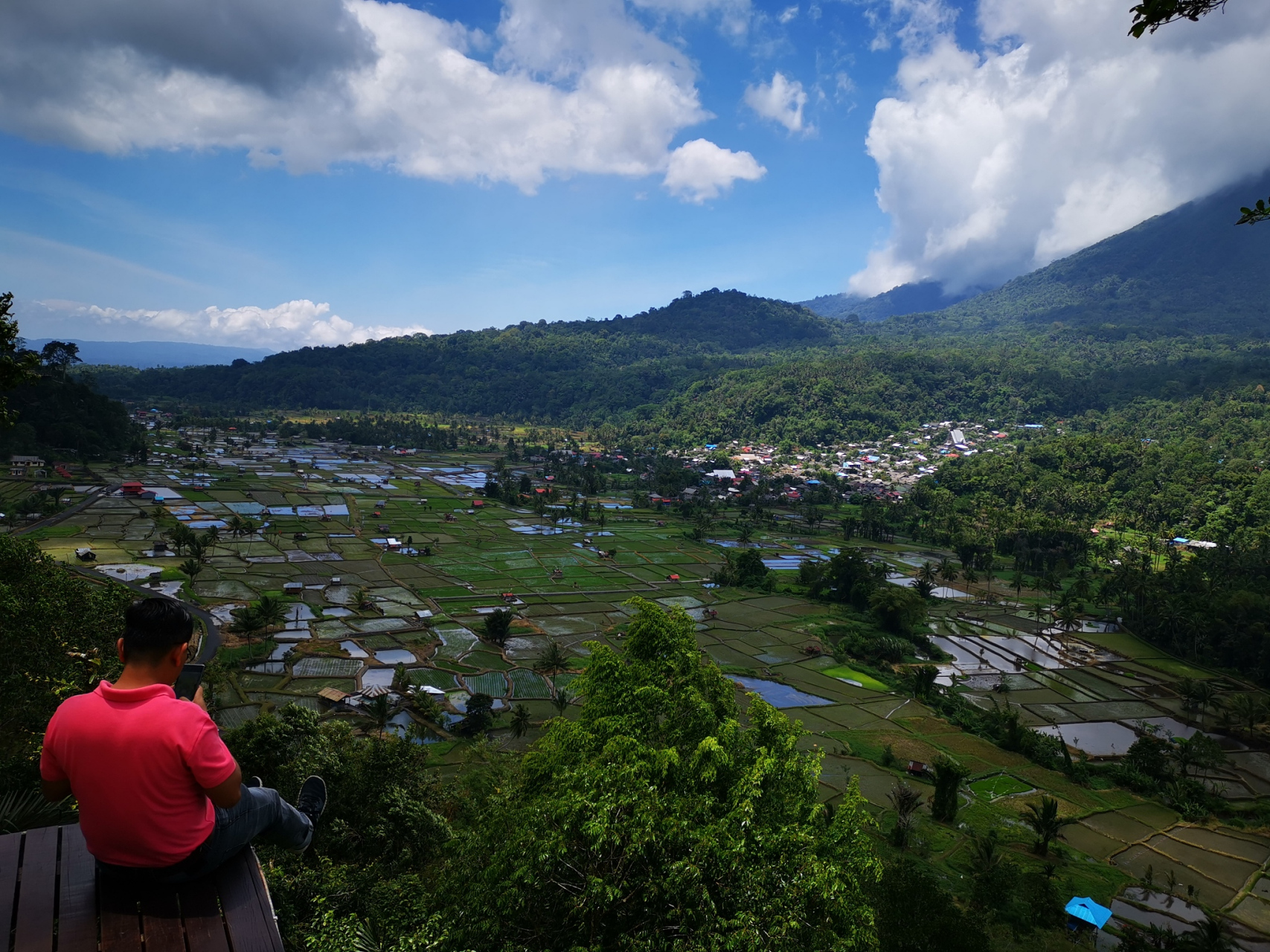云南勐腊县勐仑镇:这里有美丽的孔雀和大象,是一个亲近自然,感受动物