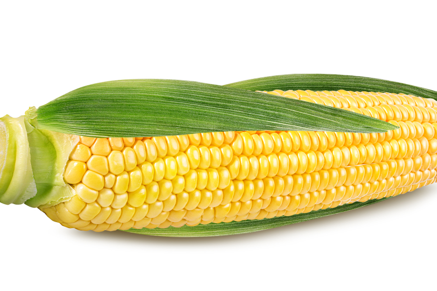 制作过程中需选用新鲜的玉米棒,并根据个人口味调整牛奶的用量和调料