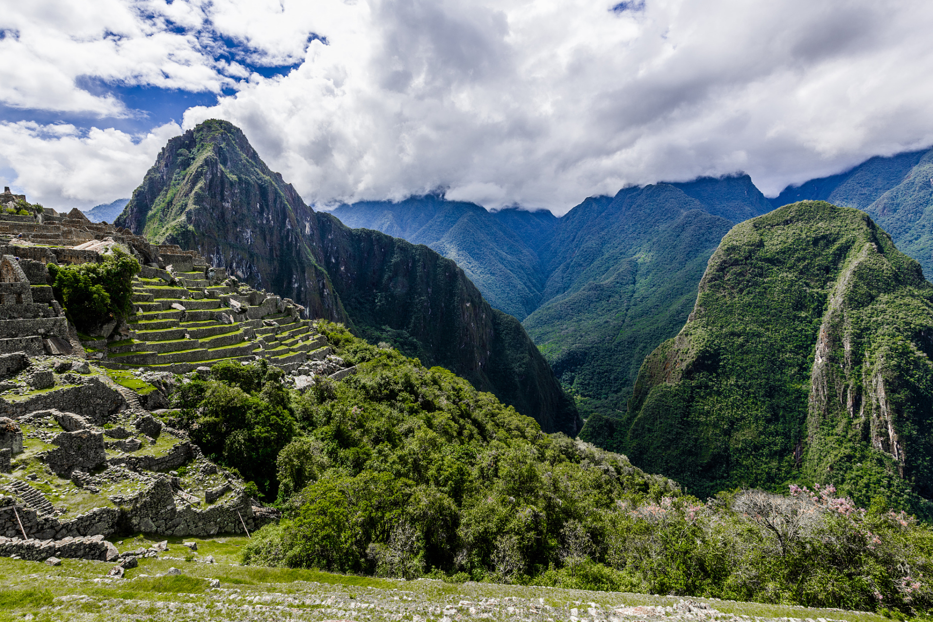 城口大巴山国家级自然保护区:峰峦叠嶂间的生物王国  大巴山,这个充满