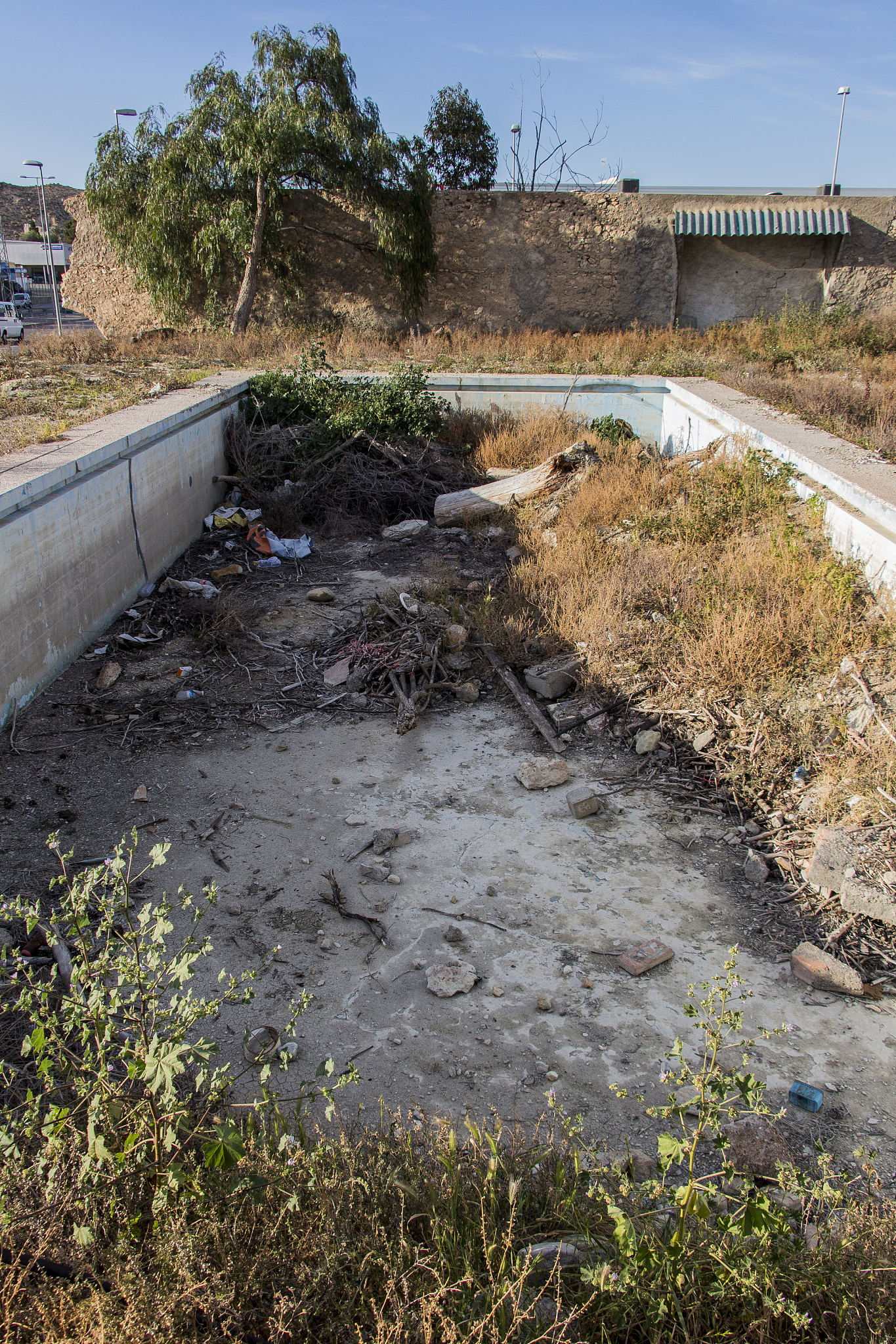 处理厂作为城市环境保护的重要设施,其运营虽旨在净化水质,减少污染