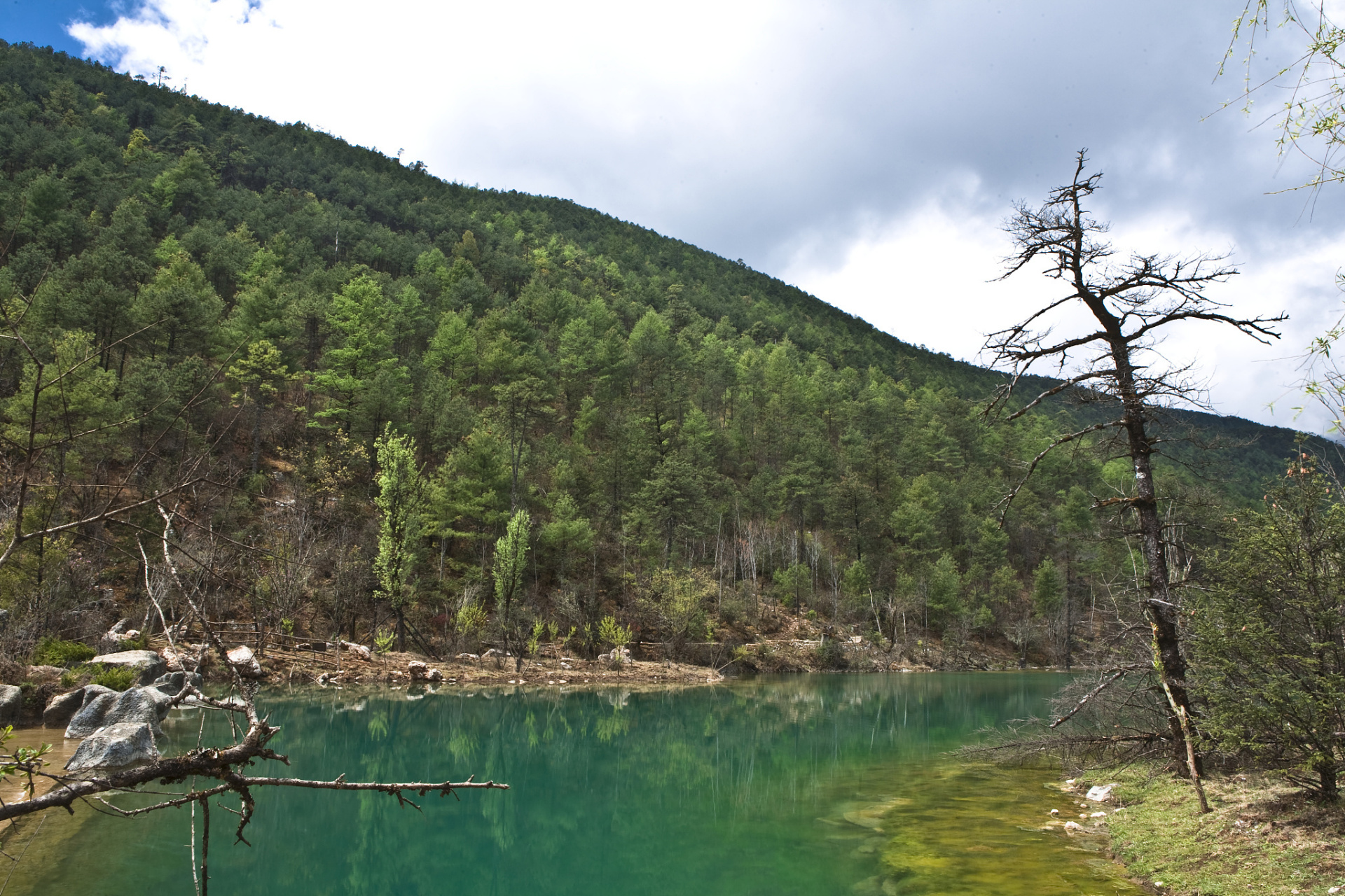 二郎山下,喇叭河畔的诗意栖居  在二郎山喇叭河风景区,每一步都踏在