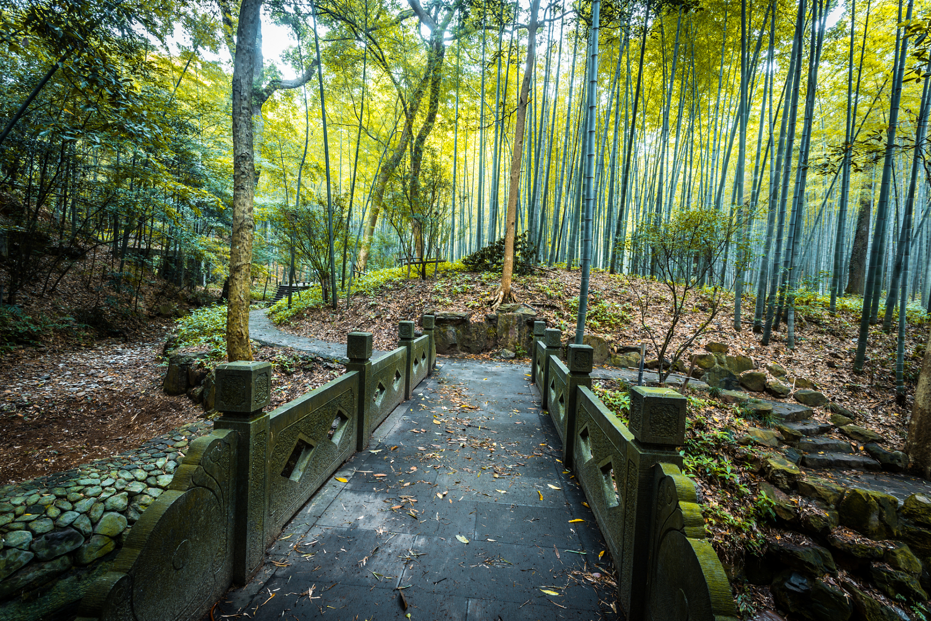 云栖竹径,西湖十景之一,坐落于西湖西南的五云山麓云坞.
