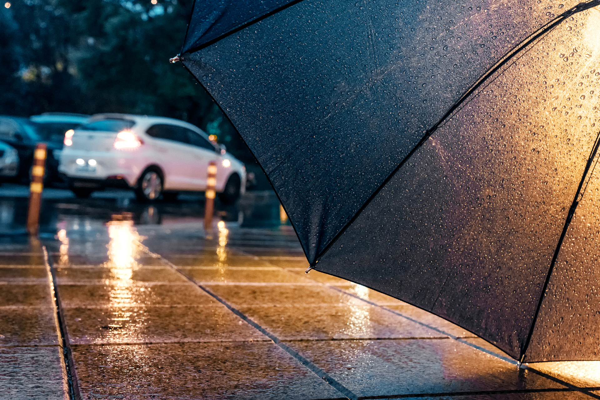 下雨天,我看到一个老人在雨中等车,全身淋湿了,出于好心,我让她上车送