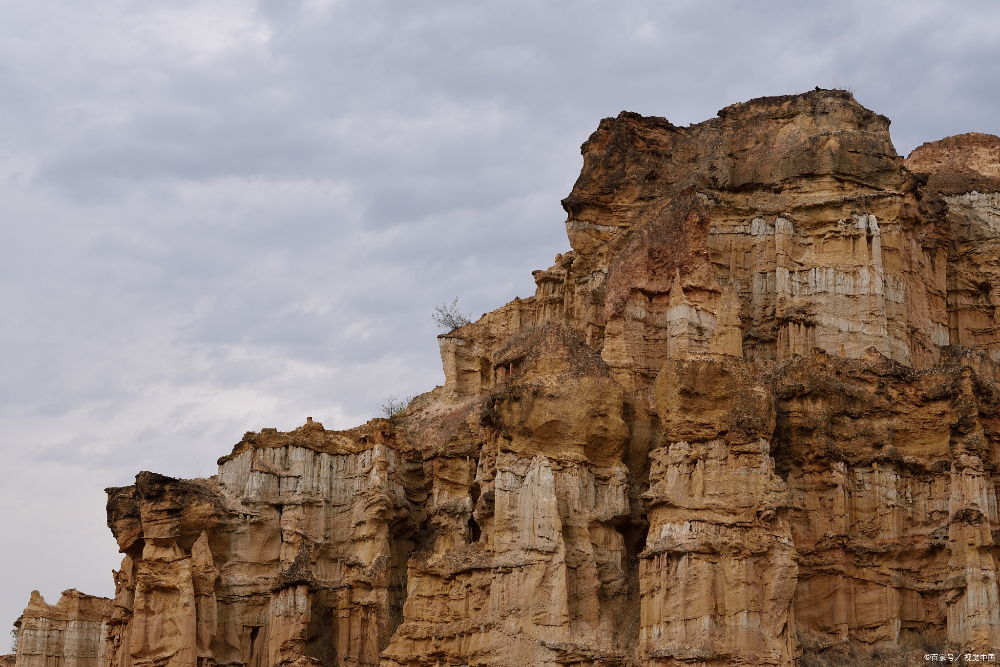 黄联土林是中国最壮观的土地林之一