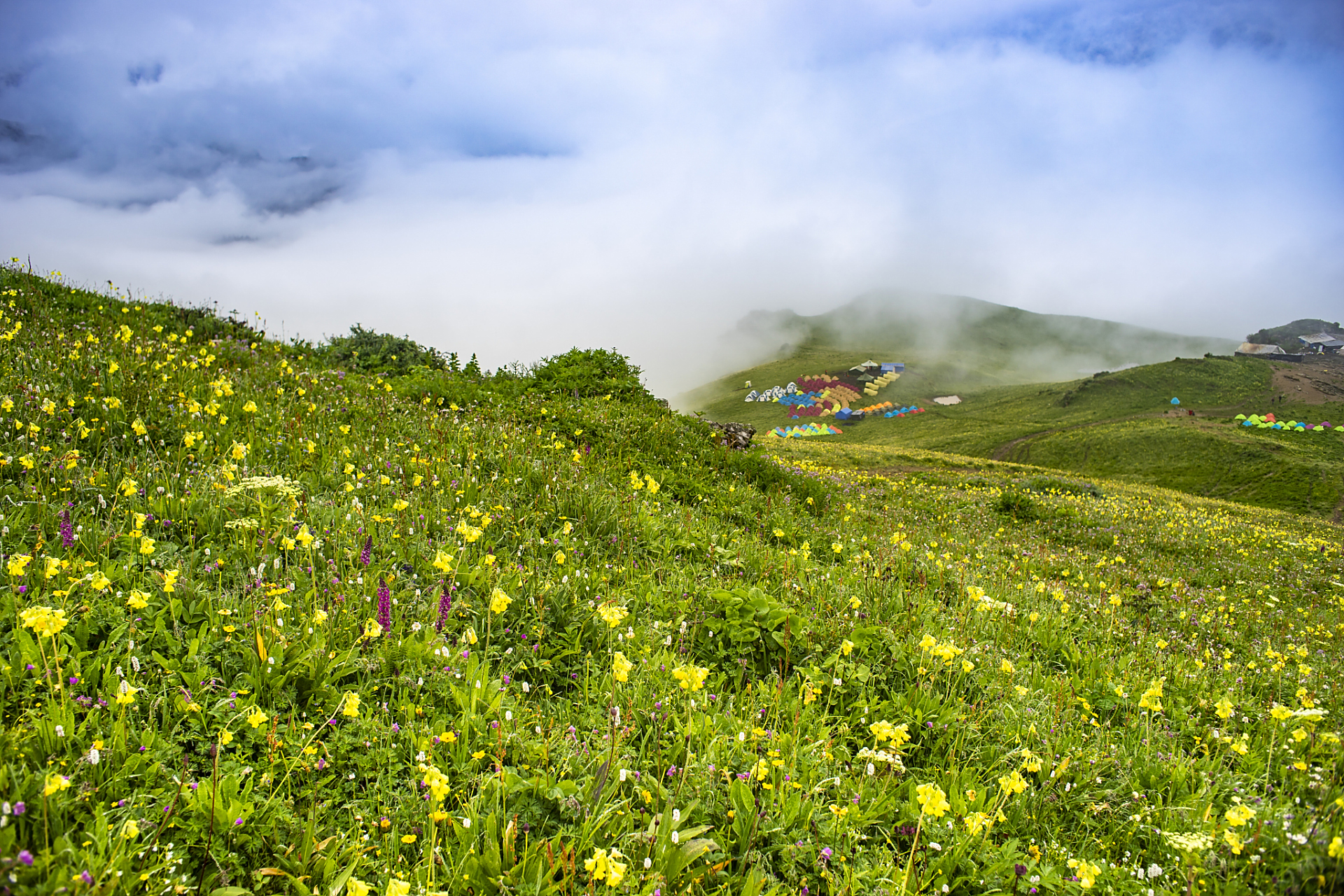 重庆红池坝国家森林公园坐落于巫溪县西北角,是一座国家级森林公园和