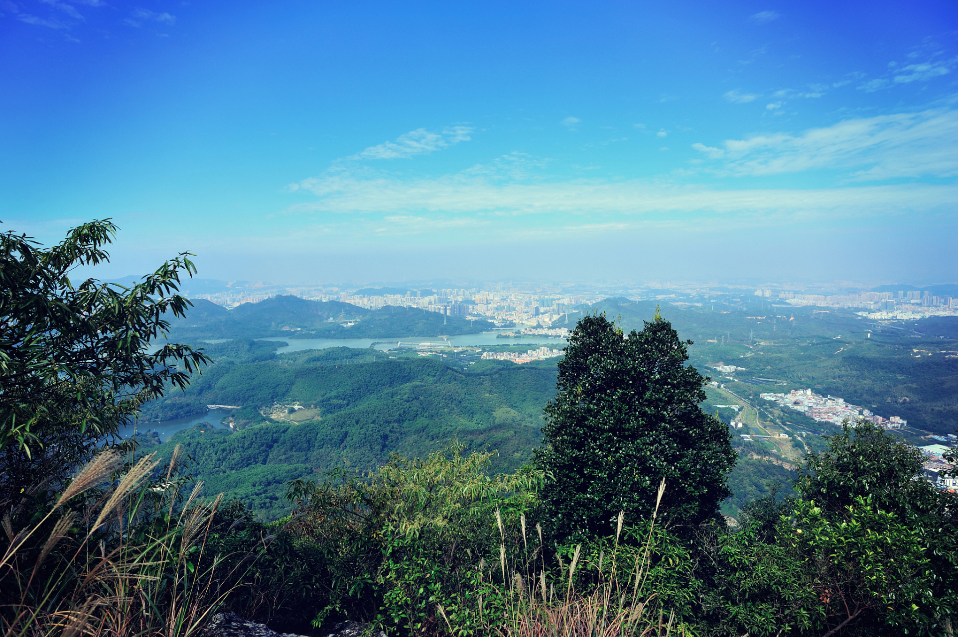 这一站就出发#广州帽峰山因山势陡峭,沟谷幽深,森林茂盛,流水淙淙