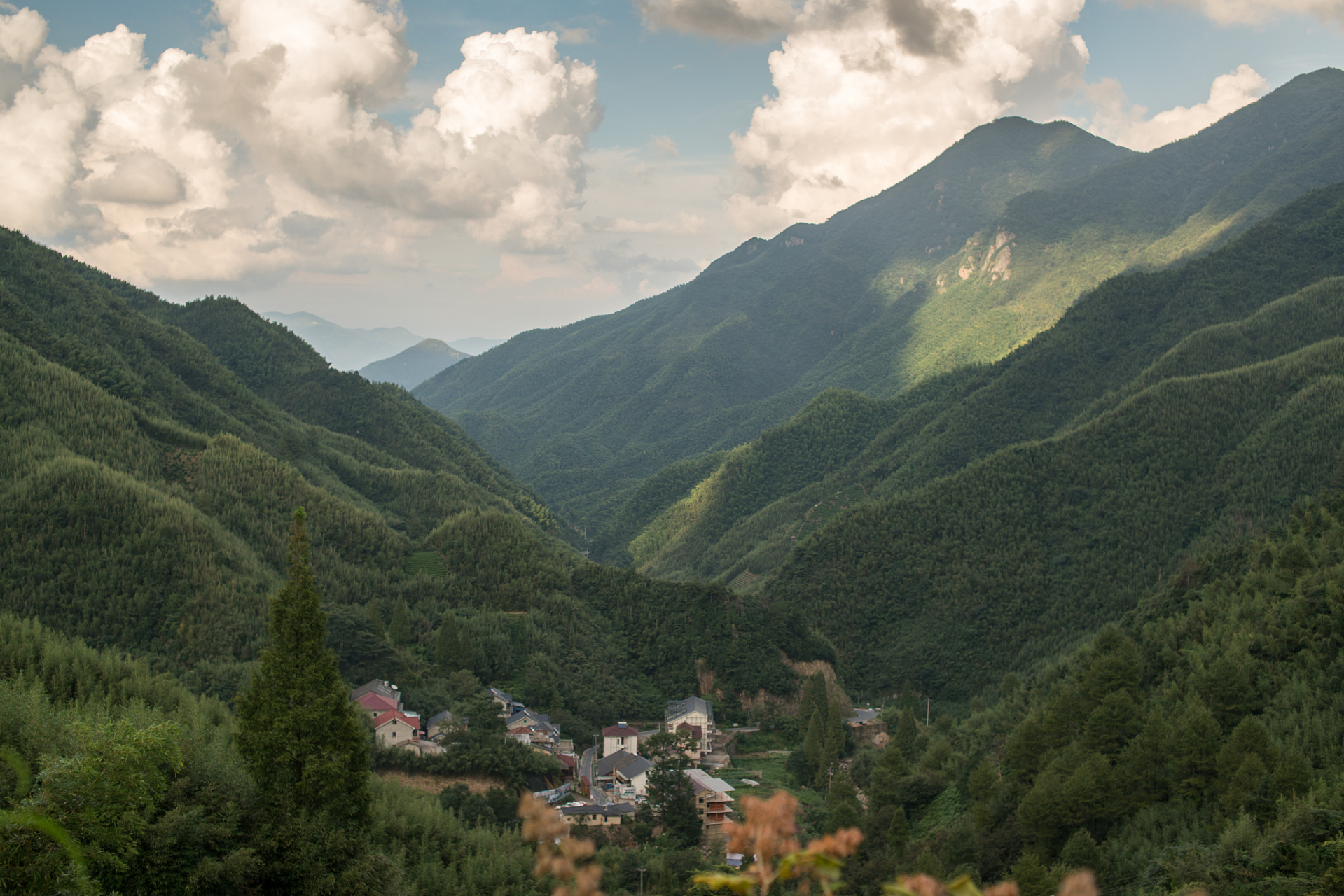 绩溪龙须山,以其险峻的山势和丰富的自然资源而闻名.