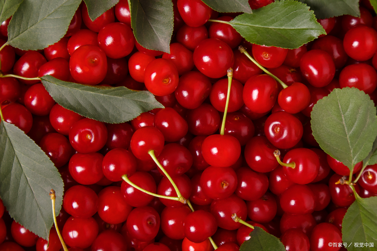 杏,樱桃,桃:三种夏日水果的盛宴