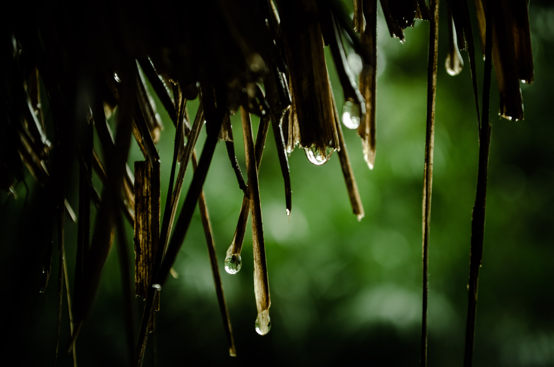 细雨丝丝润万物,春风缕缕拂千山  细雨丝丝,润物无声.