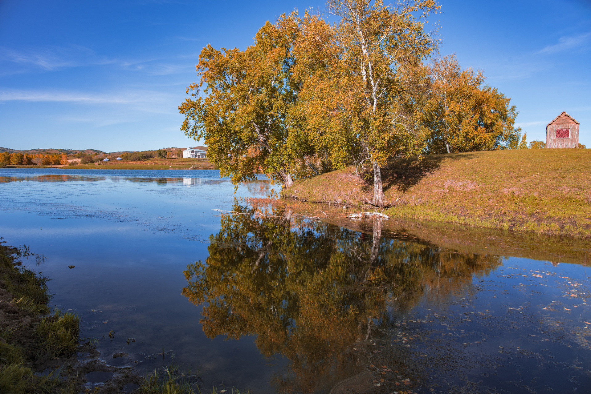 湿地古杨景区,即尼勒克县湿地古杨风景区,是一个集生态观光,疗养