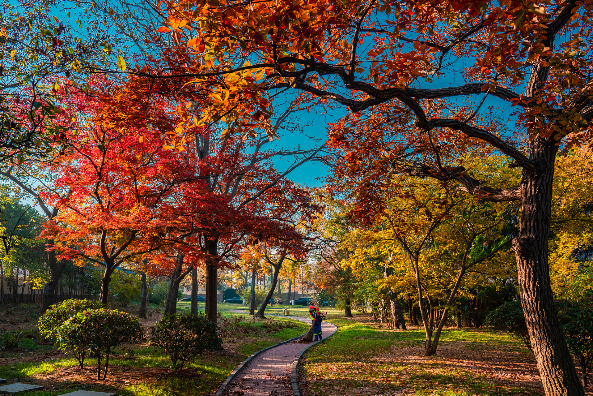 来青岛旅游,一定要逛逛八大关风景区!