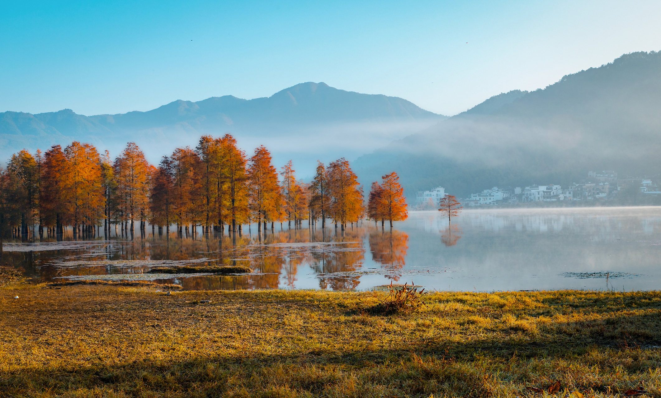 乐享周末分享吧# 秋天是千岛湖最美的季节,红叶湾绚烂多彩,小岛上