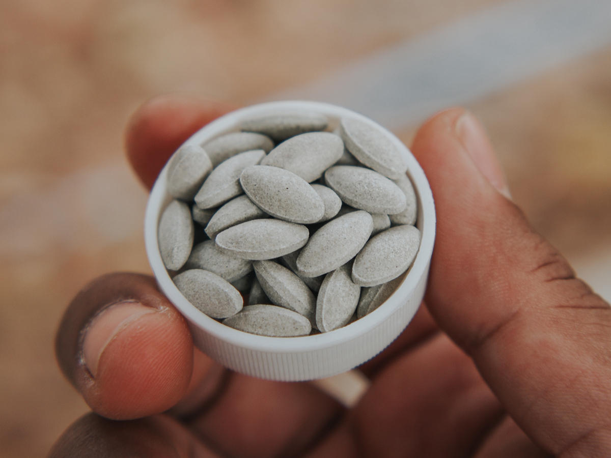 广东星子红瓜子:连州的吉祥之果