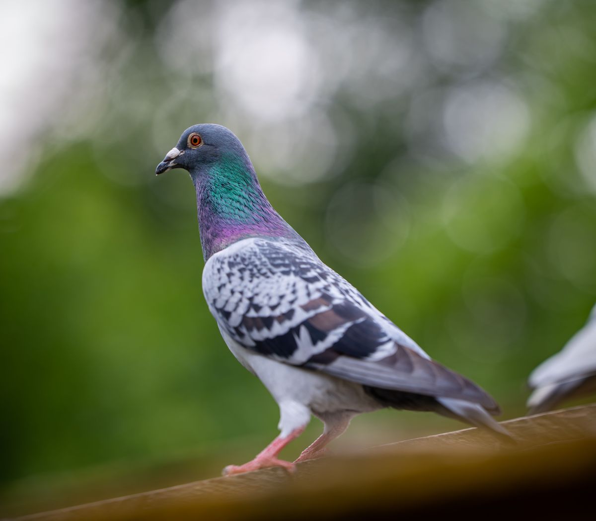一个忠告,最近这段时间天气燥热,磁场混乱,人心浮躁