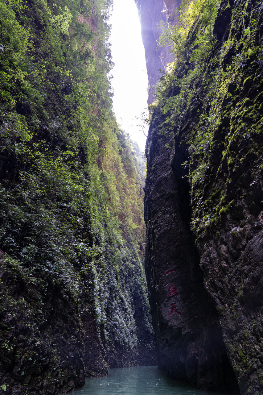 张家界朝阳地缝景区是世界上最长的"一线天"奇观,全长约5公里,垂直