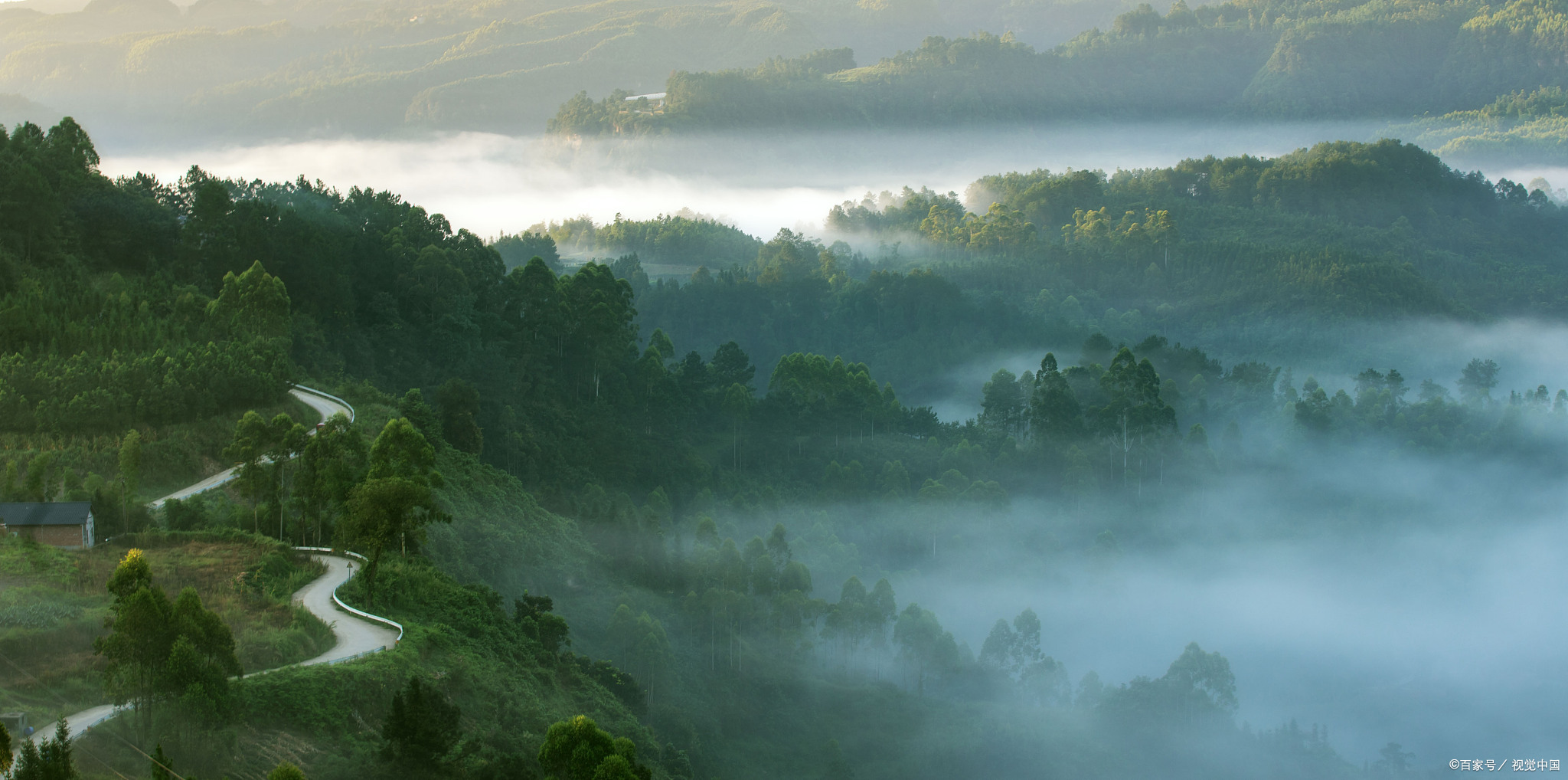 大邑雾山风景图片