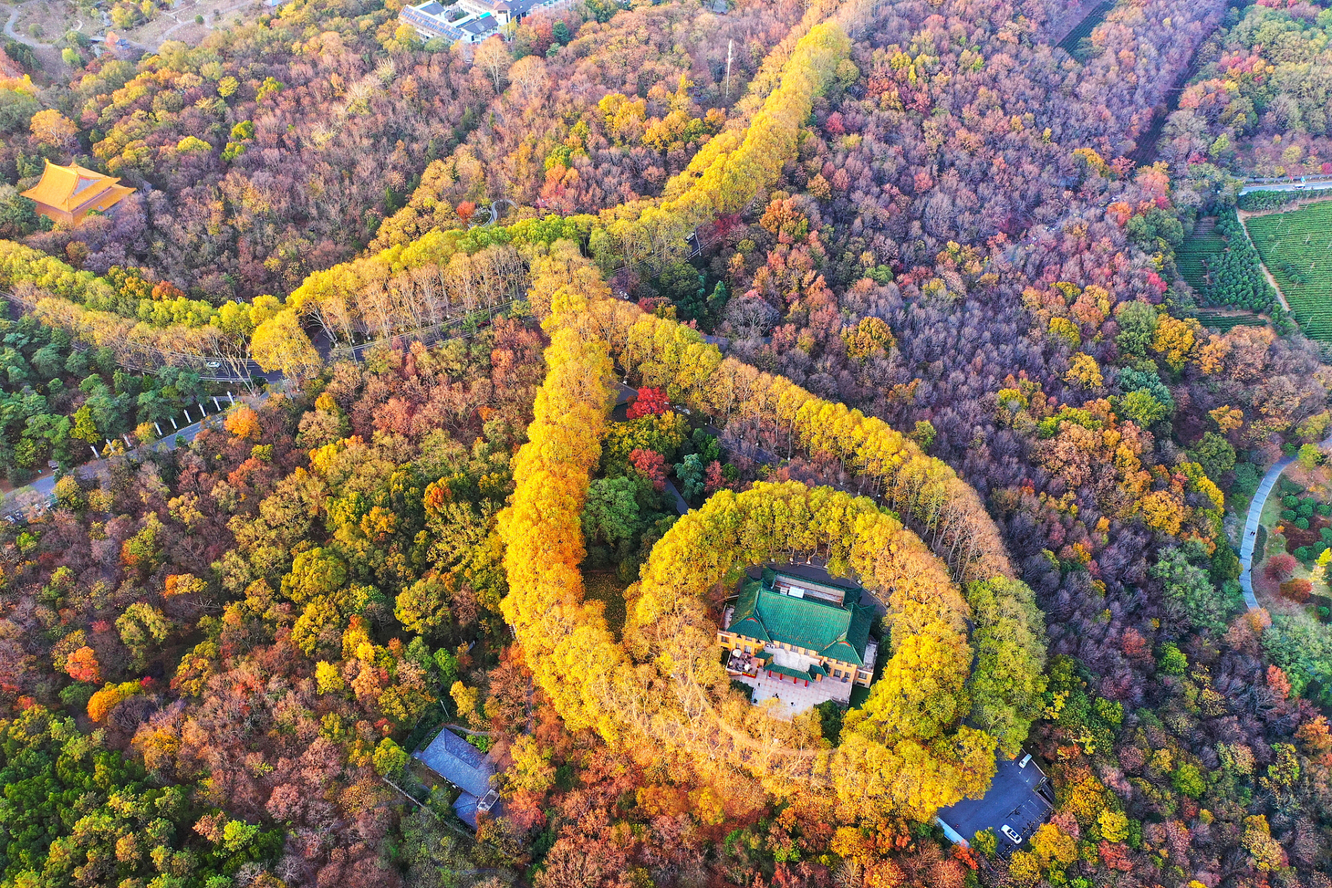 南京紫金山景点介绍||南京紫金山国家森林公园是江南四大名山之一