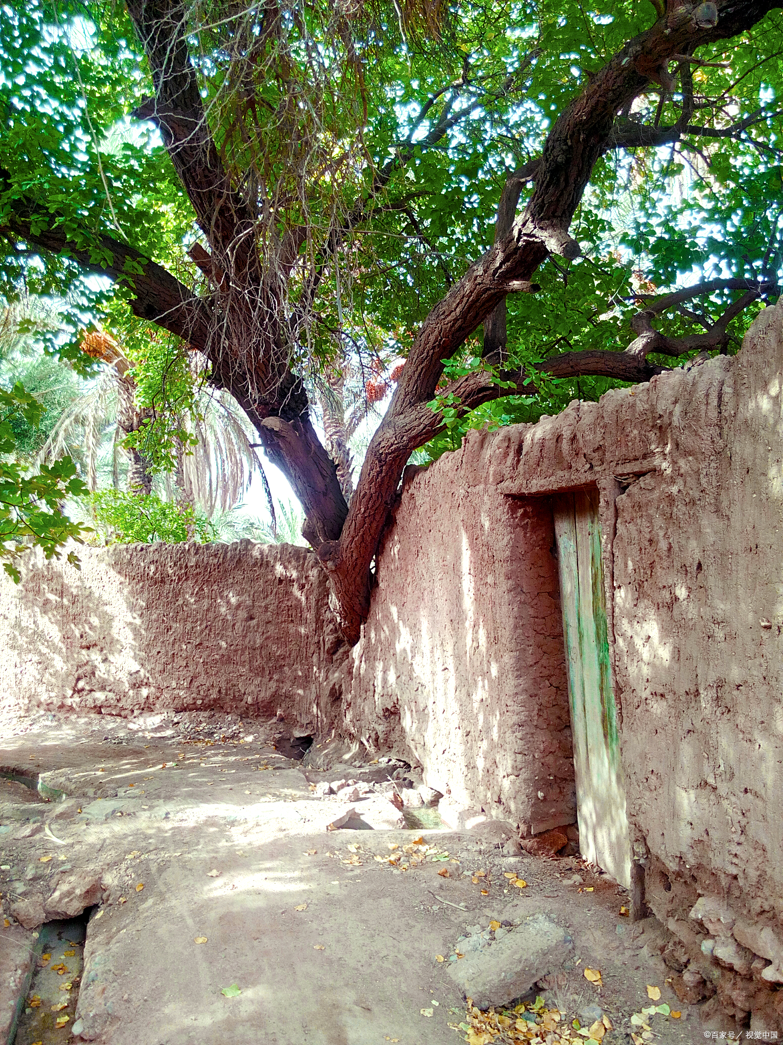 风景一直在我们身边