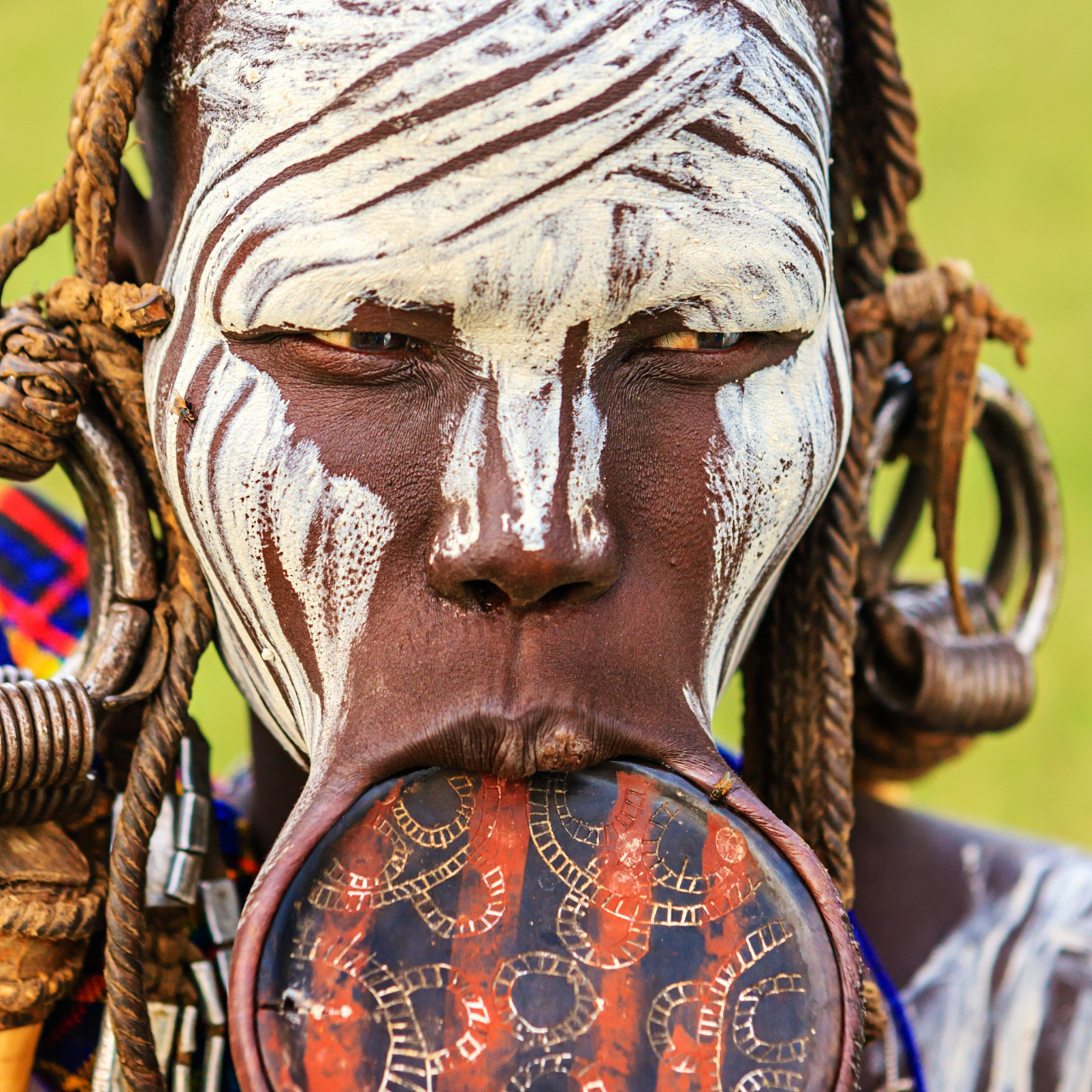 在非洲西部的摩西族,女性在嘴上佩戴大圆盘的风俗被称为"唇盘族".