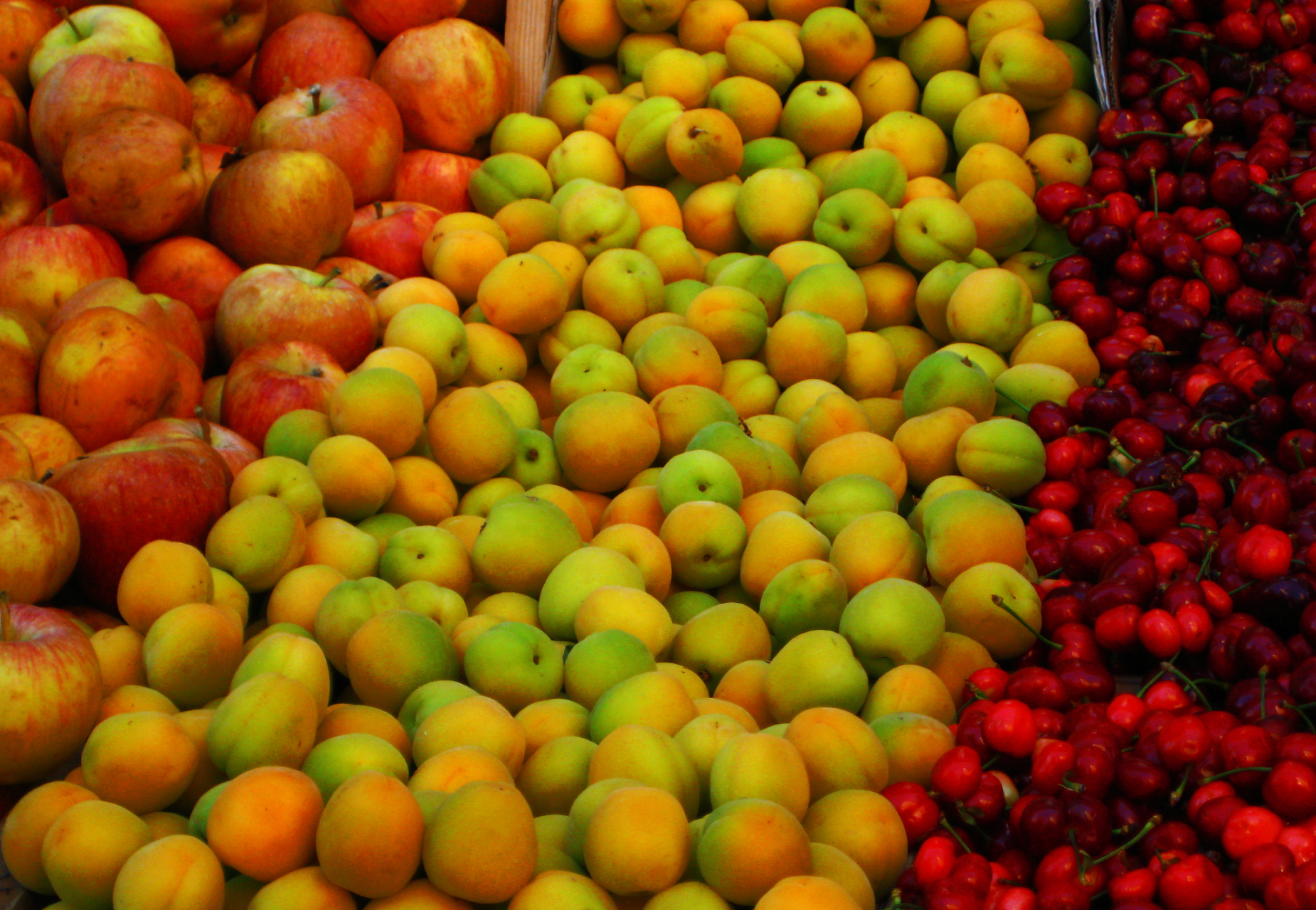 春游,时令水果如甜蜜的音符,荔枝,芒果的香气弥漫在街头巷尾,让人忍不